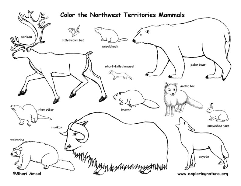 Canadian Territory Northwest Territories