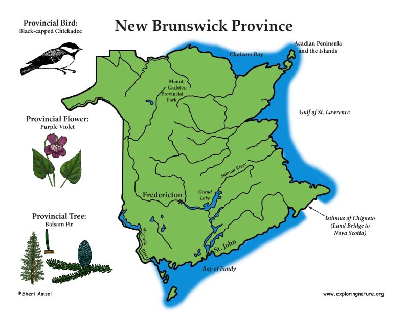 Putas En New Brunswick Nj
