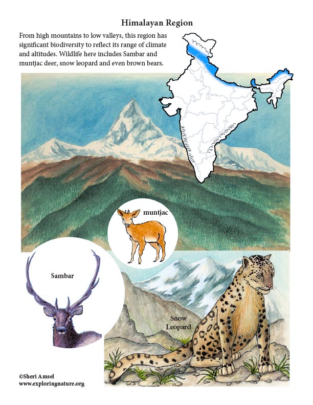 India - Habitats, Animals and Activities