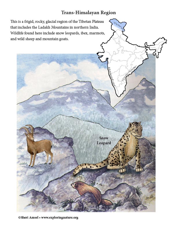 India - Habitats, Animals and Activities