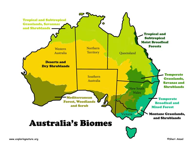 Australia Habitats Animals And Activities Australia Habitats Animals And Activities