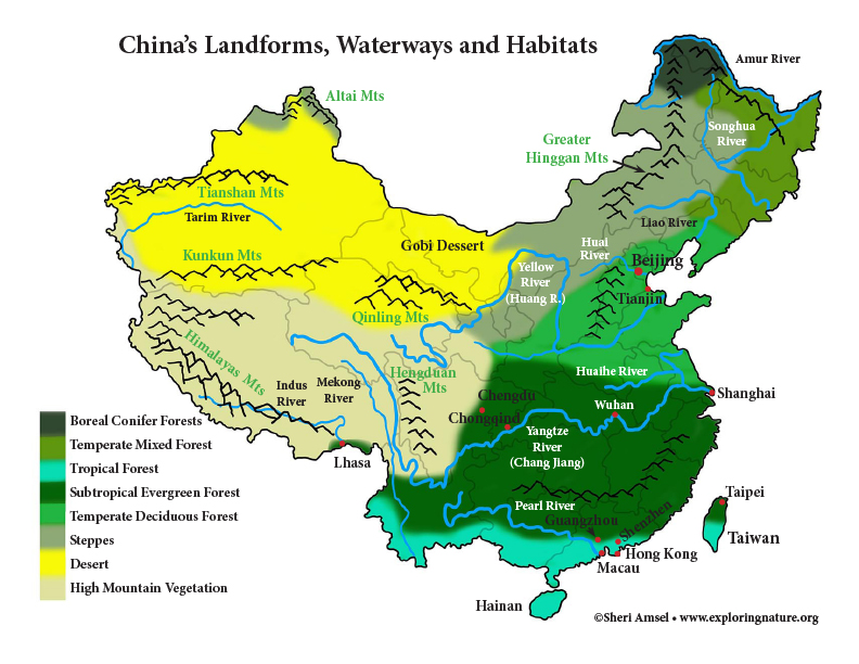 China - Habitats, Animals and Activities
