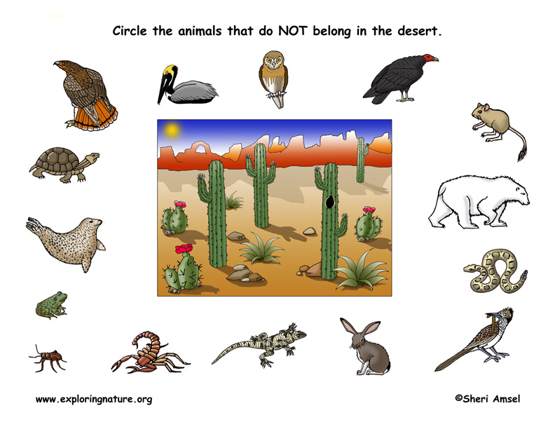 Desert Habitat Matching Desert Habitat Matching