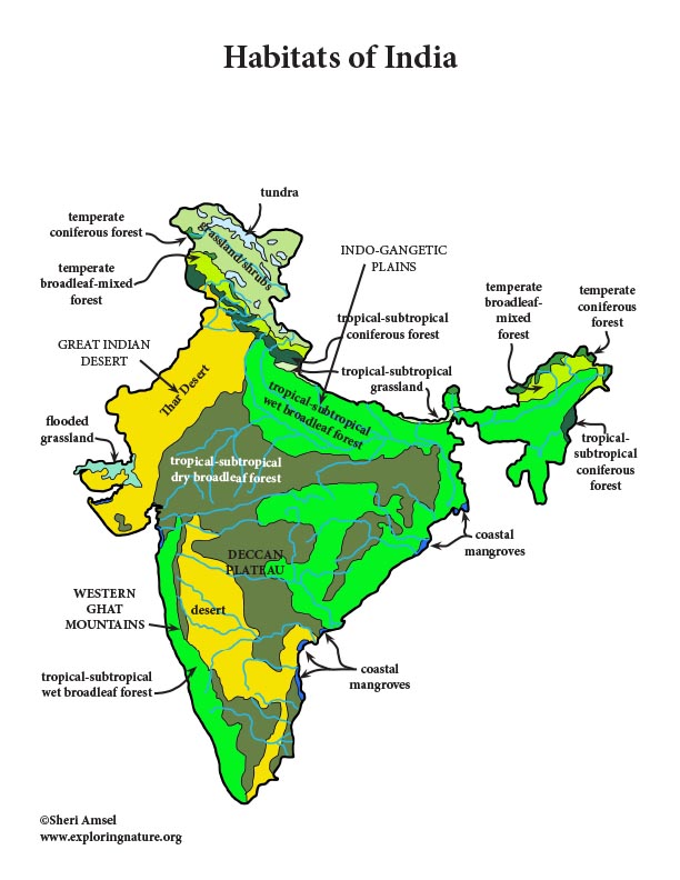 India - Habitats, Animals and Activities India - Habitats, Animals and Activities