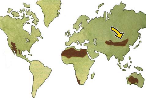 gobi desert on world map