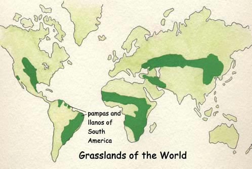 Pampas of South America Pampas of South America