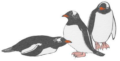 Penguin (Gentoo)