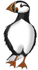 Puffin (Atlantic)
