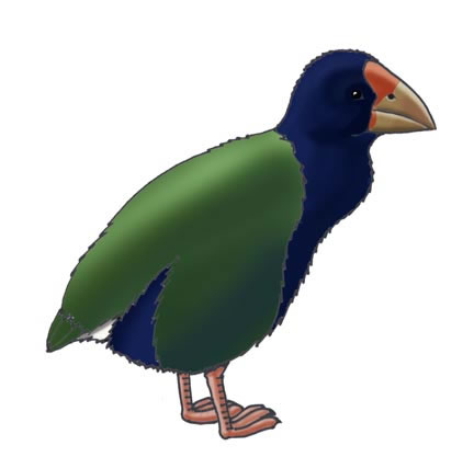 Takahe