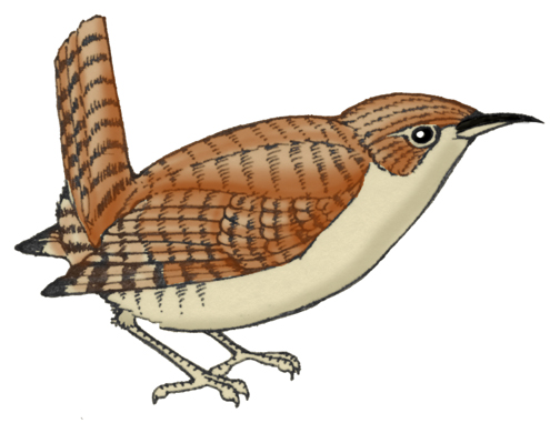 Wren (House)
