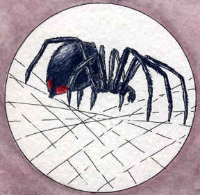 Black Widow Spiders Attack Humans With Deadly Intent