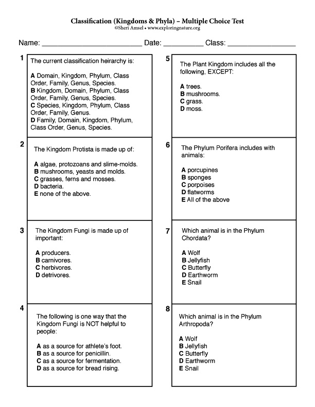 Kingdom Phylum Chart