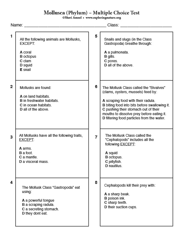 Mollusca (Phylum) – Multiple Choice Test