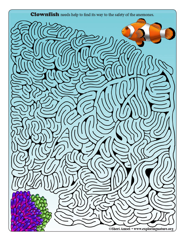 Clownfish Maze