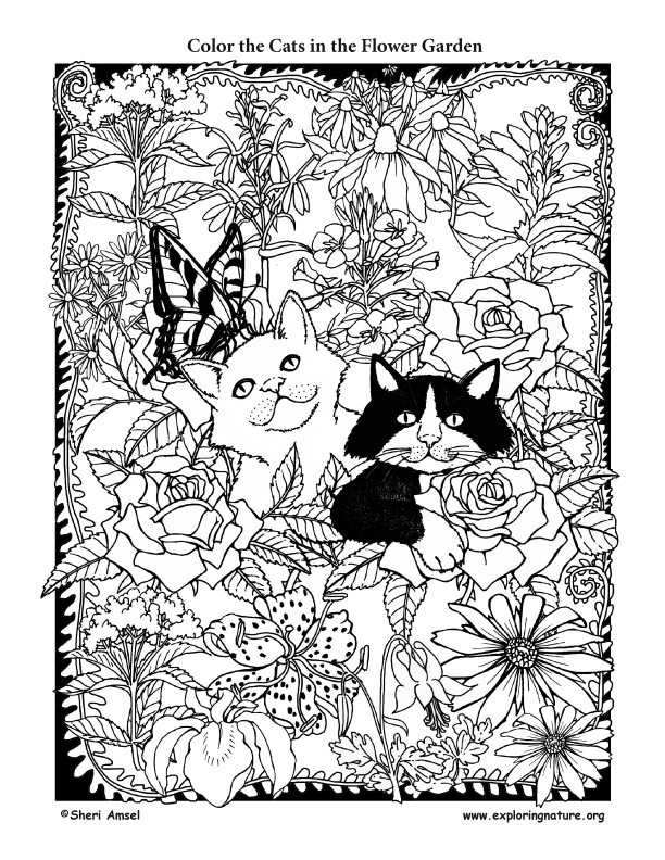 Cats In The Flower Garden Coloring Page