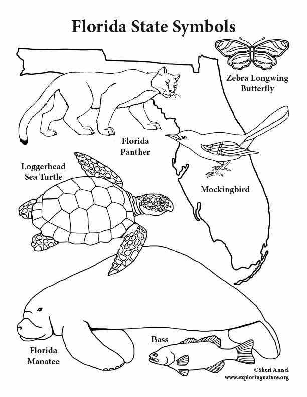 florida-state-symbols-coloring-page