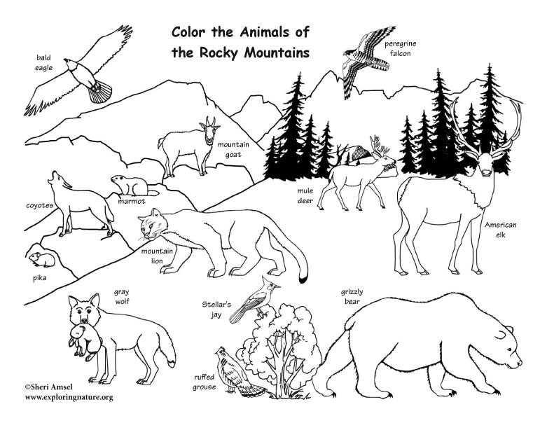 57 Coloring Pages Of Mountain Animals For Free