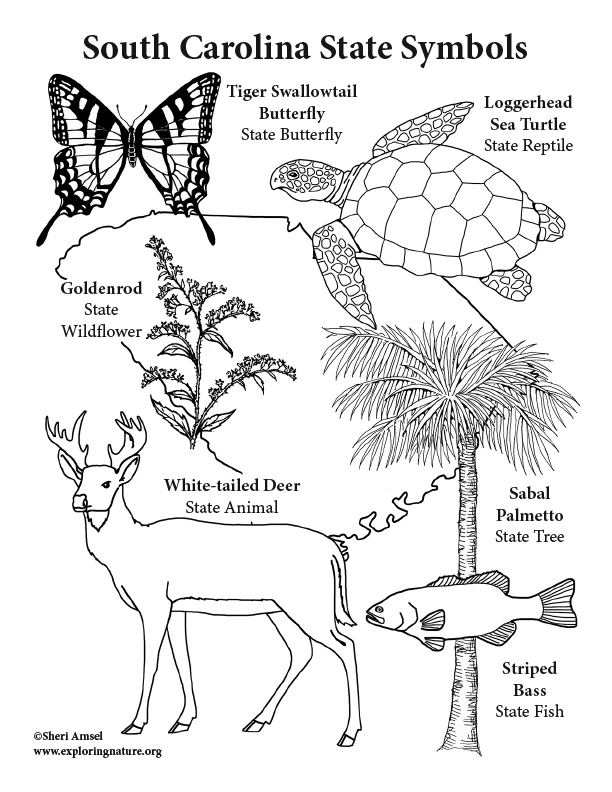 Nc State Symbols Coloring Pages