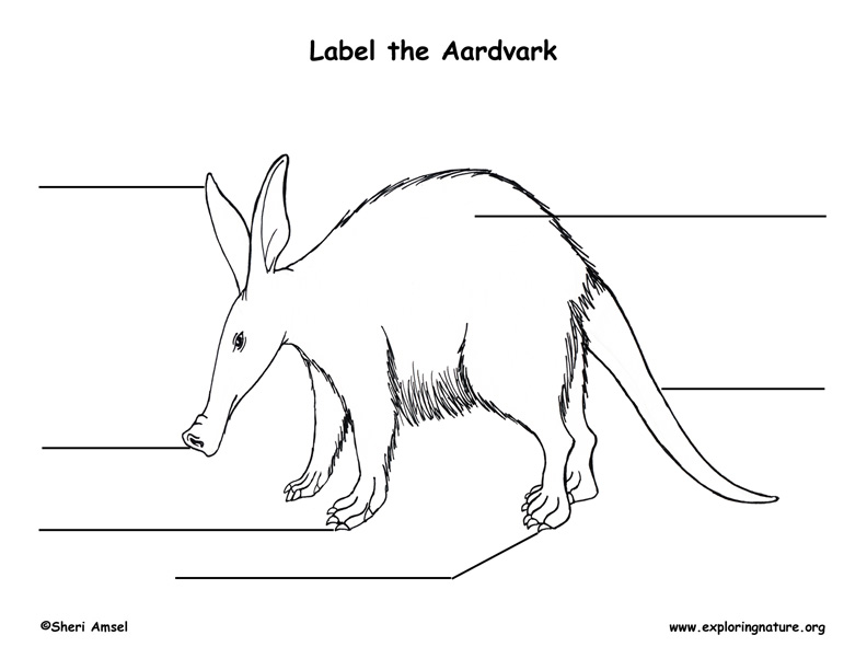 Aarvdark Labeling Page