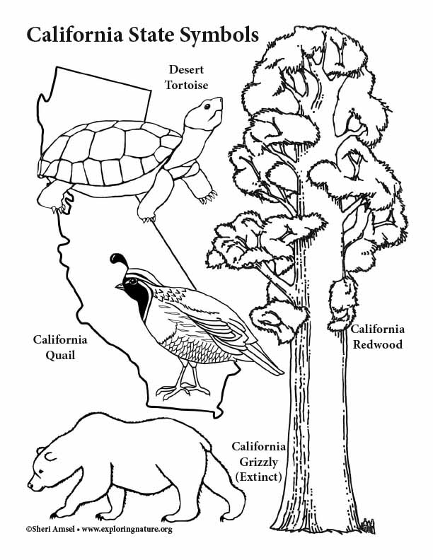 California State Animal Coloring Page Coloring Pages