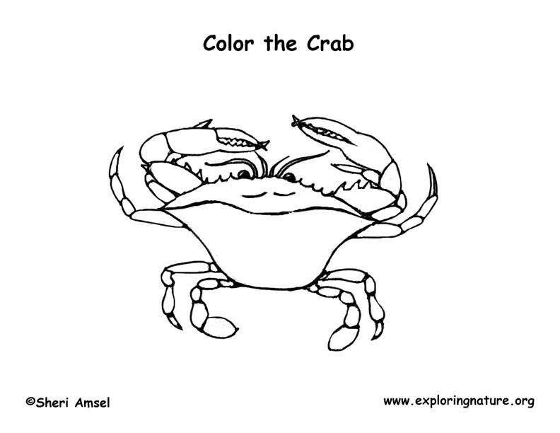 Crab (Blue) Coloring Page