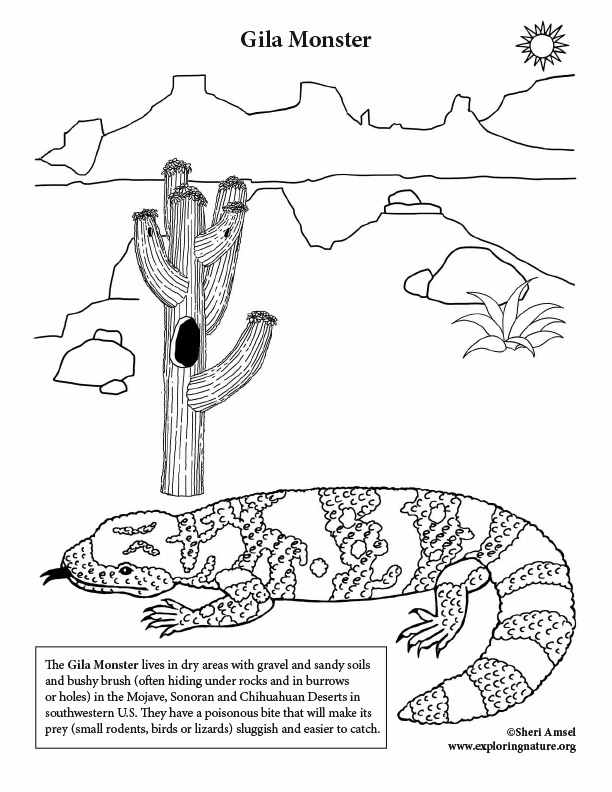 Desert Gila Monster Coloring Page
