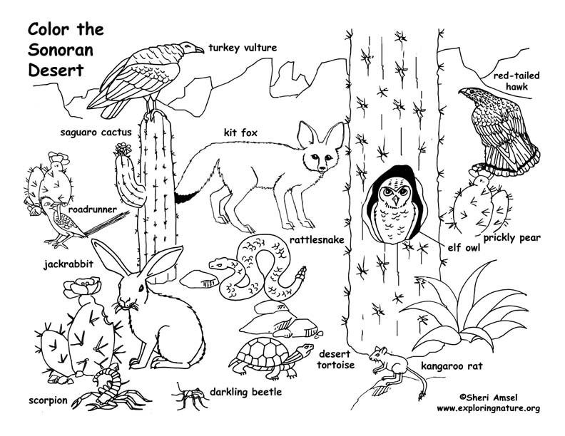 Dissertation committee composition