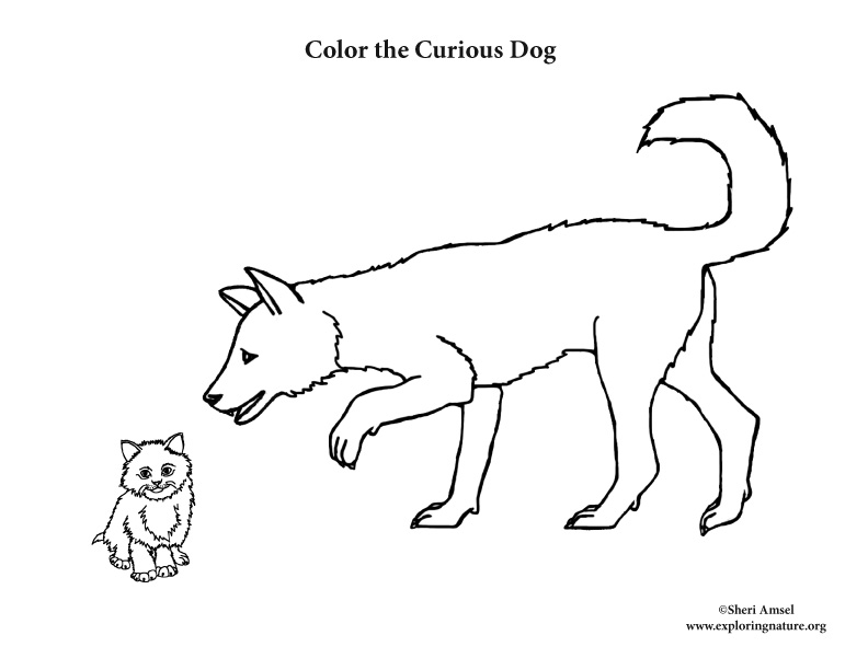 Kitten and dog coloring pages