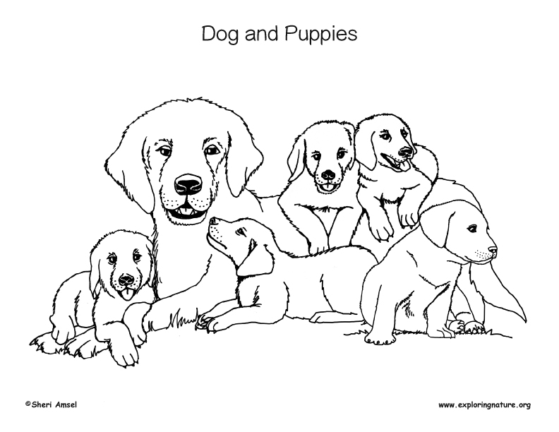 Dogs And Puppies Coloring Pages