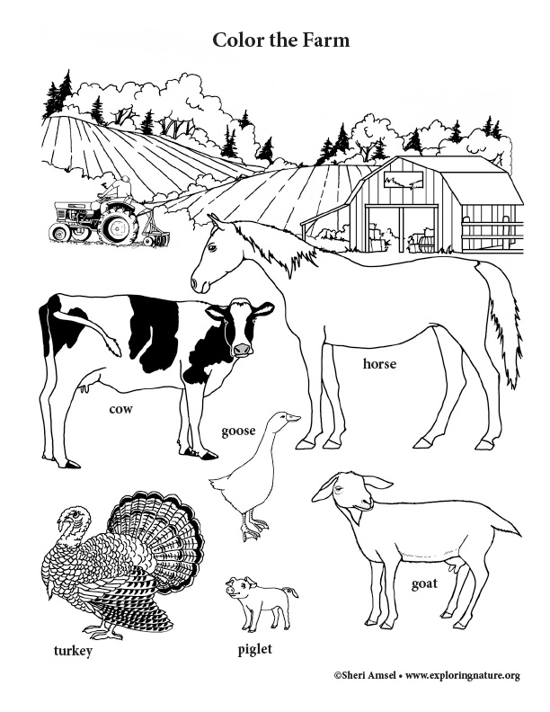 Farm 2 Coloring Page