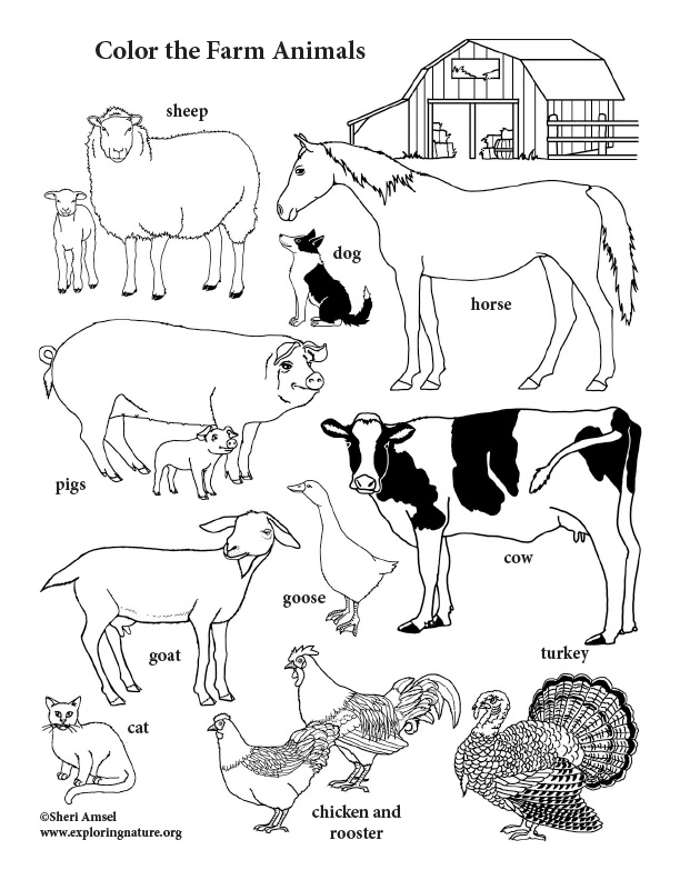 Farm Animals Coloring Page (Vertical)
