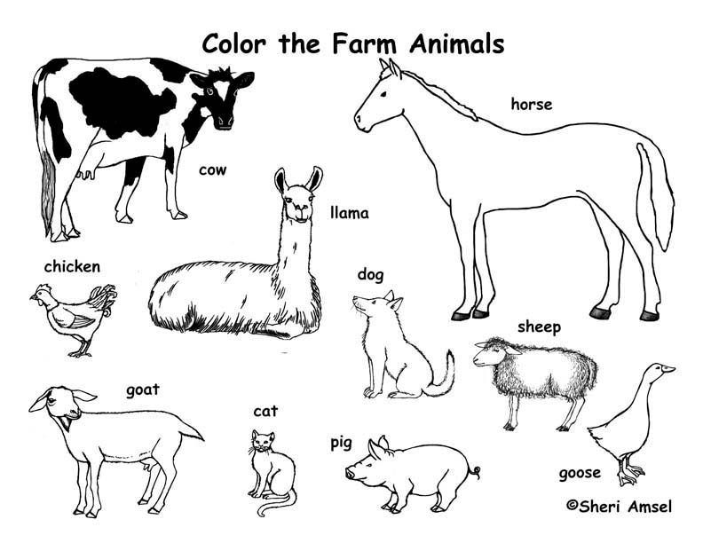 free farm animals coloring pages to print