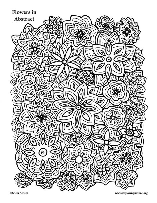 Flowers in Abstract
