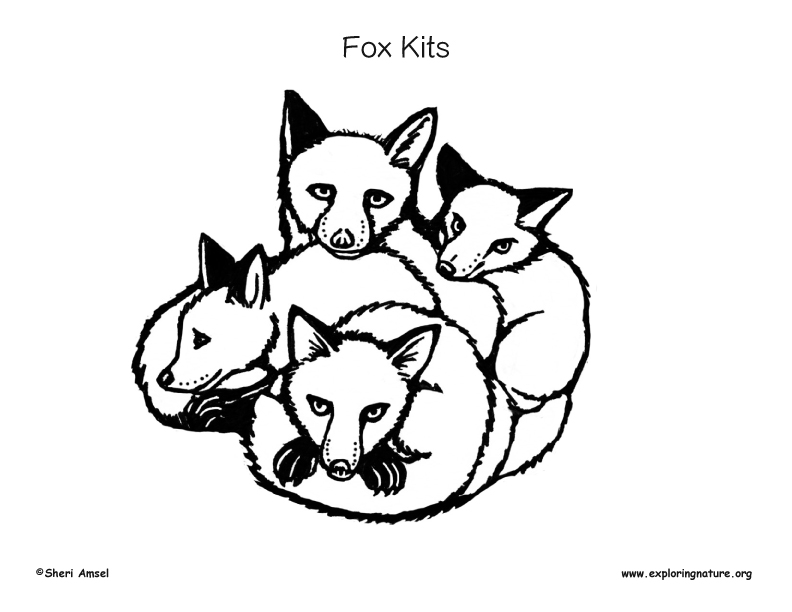 Fox and Kits Coloring Page