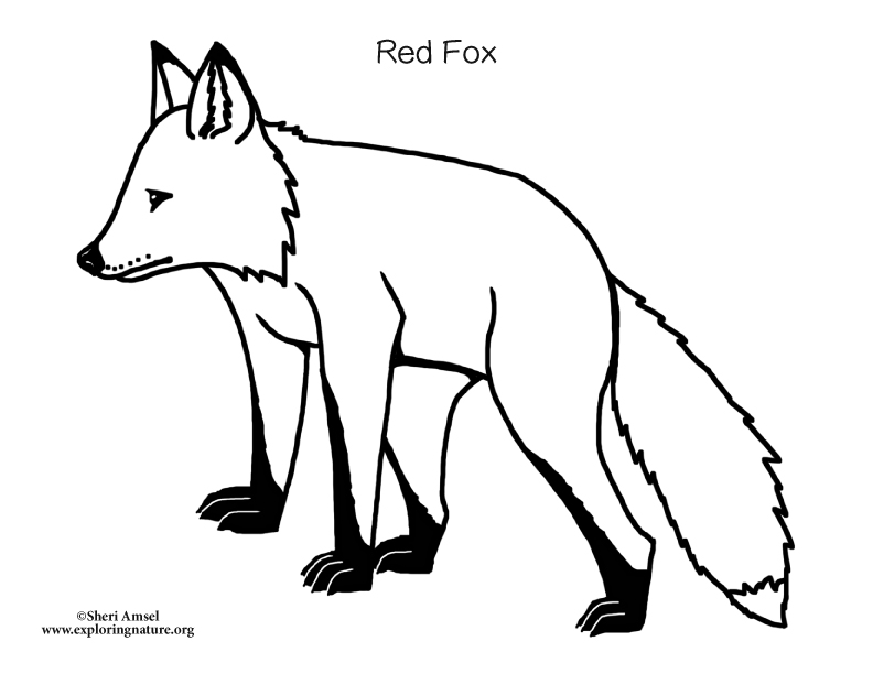 Fox and Kits Coloring Page