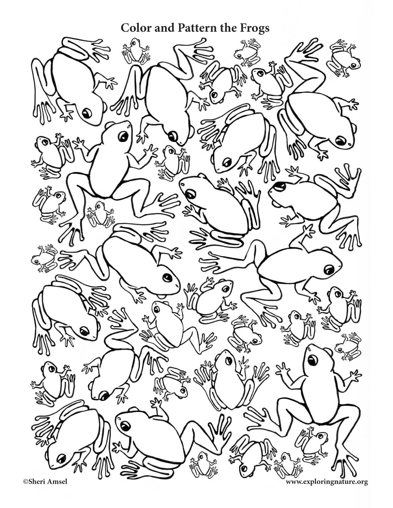 Frog Coloing Page
