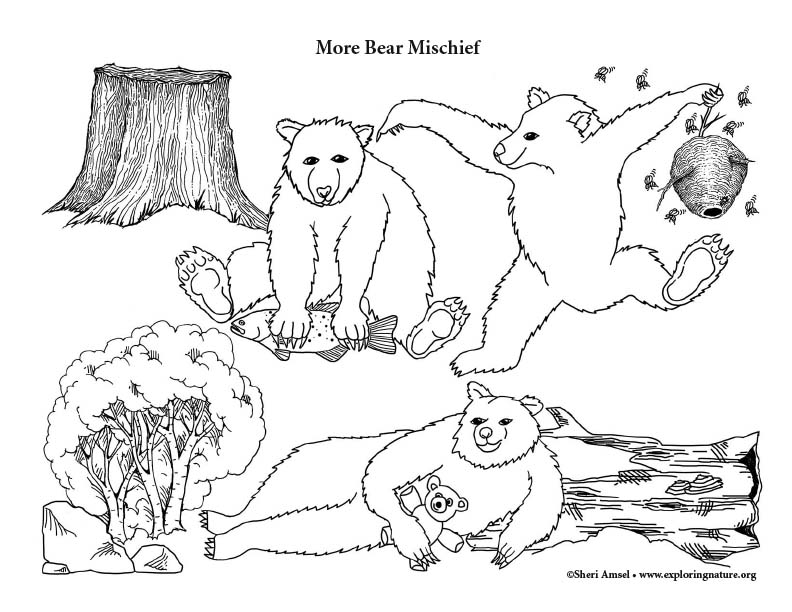 More Bear Mischief - Coloring Page