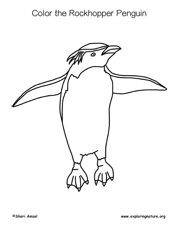 Penguin (Rockhopper) Coloring Page