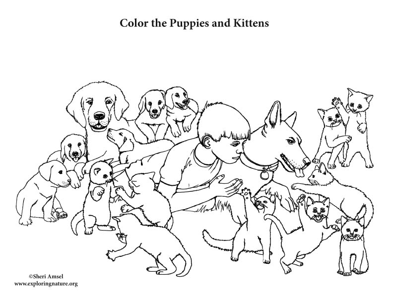 coloring-pages-of-puppies-and-kittens-bornmodernbaby