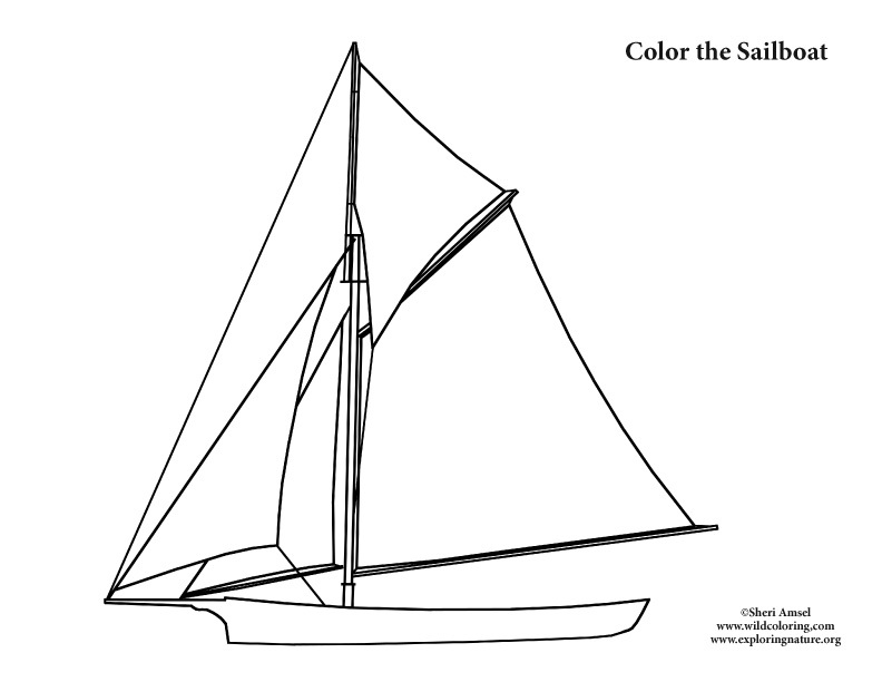 Sailboat Coloring Page