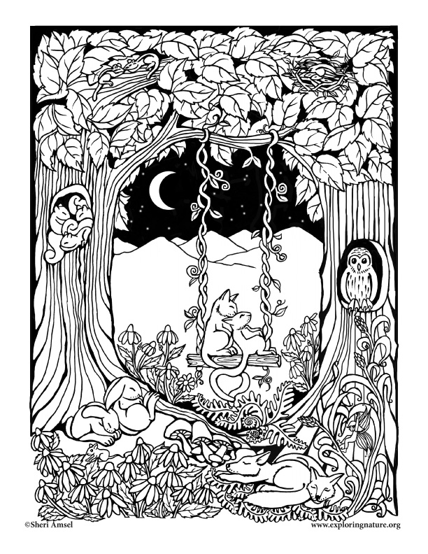 Sleeping Forest Coloring Page