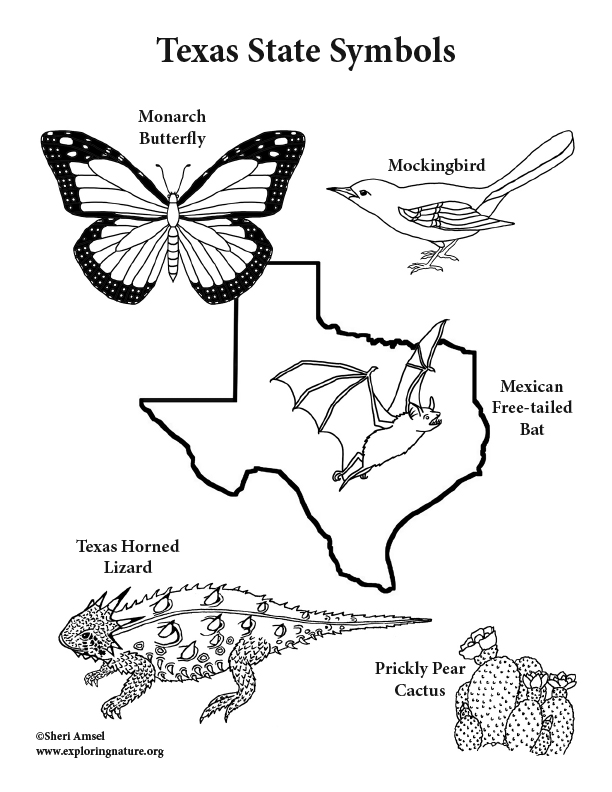 Texas Coloring Pages For Kids