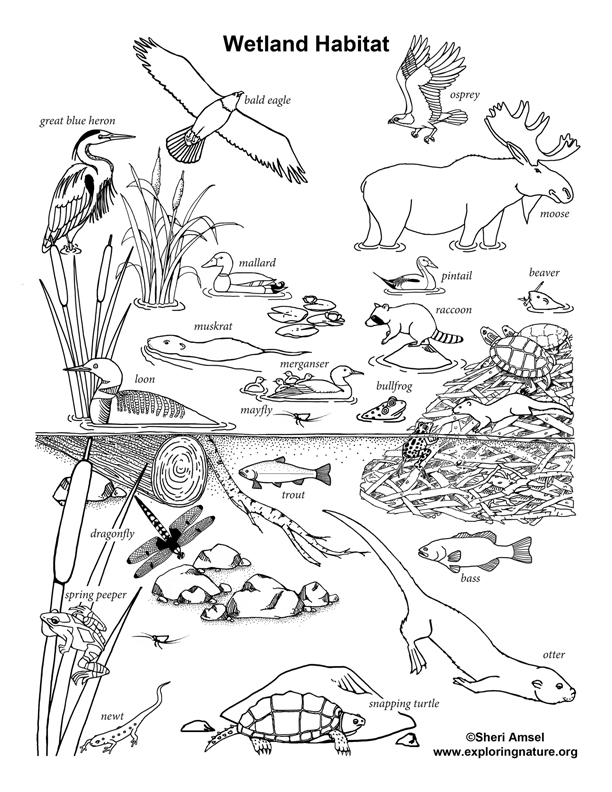 Habitat For Humanity Coloring Pages Coloring Pages Habitat For Humanity Coloring Pages Coloring Pages