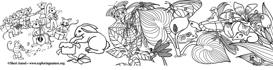 Wild Coloring