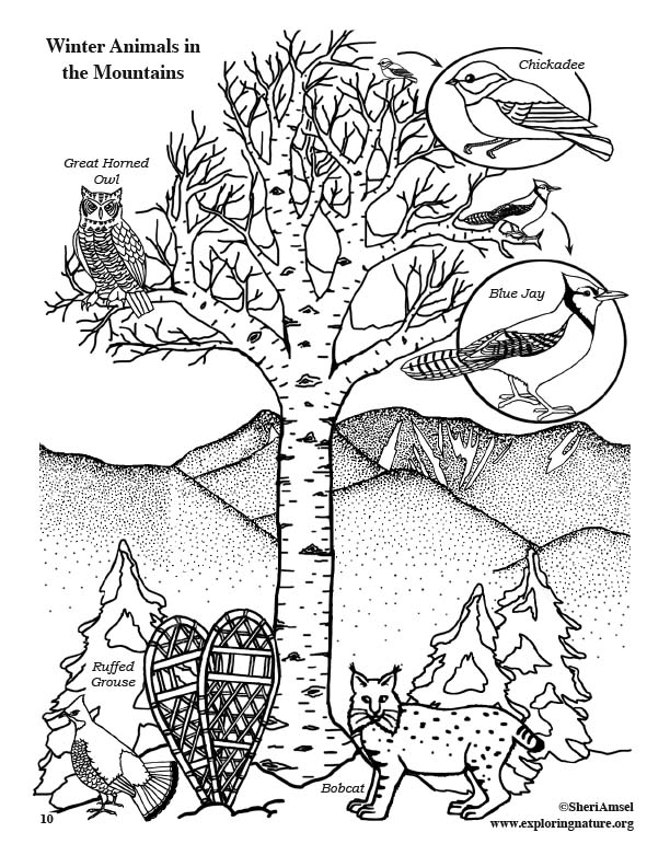 winter-animals-in-the-mountains-coloring-page