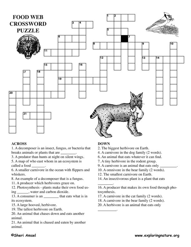 foodwebs-crossword-puzzles-middle-school