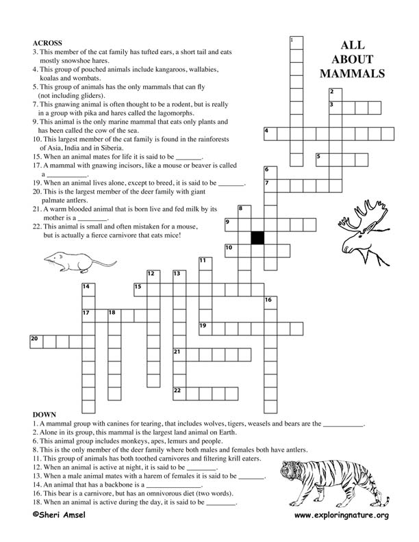 Mammals Crossword Puzzle (Adults)