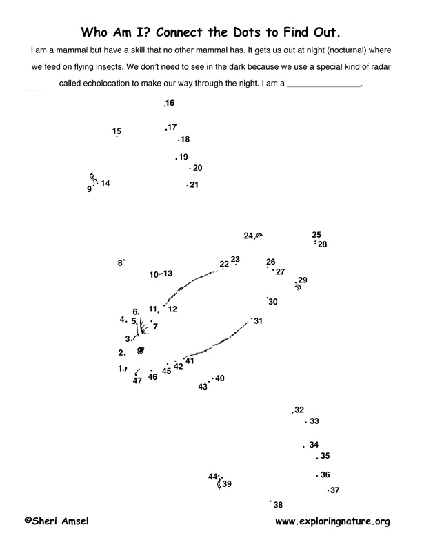 Bat Connect-the-Dots Activity