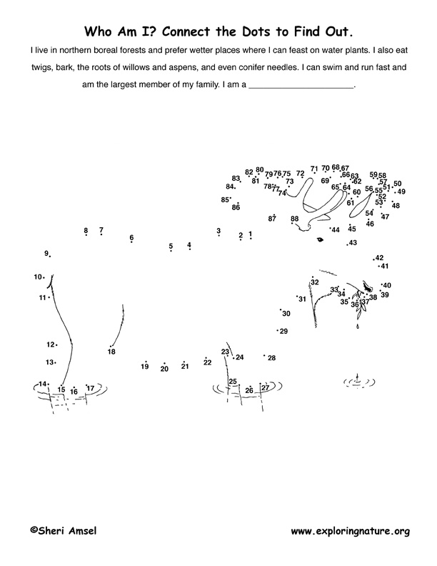 Moose Connect-the-Dots Activity