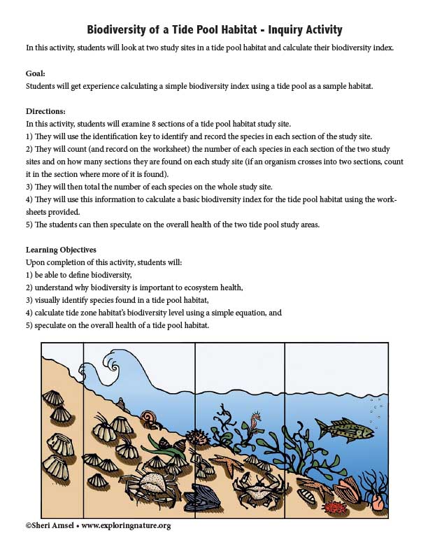 Biodiversity of a Tide Pool Habitat - Inquiry Activity